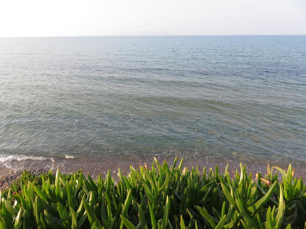 Frosso'S Sea Apartments Kokkini Hani Buitenkant foto